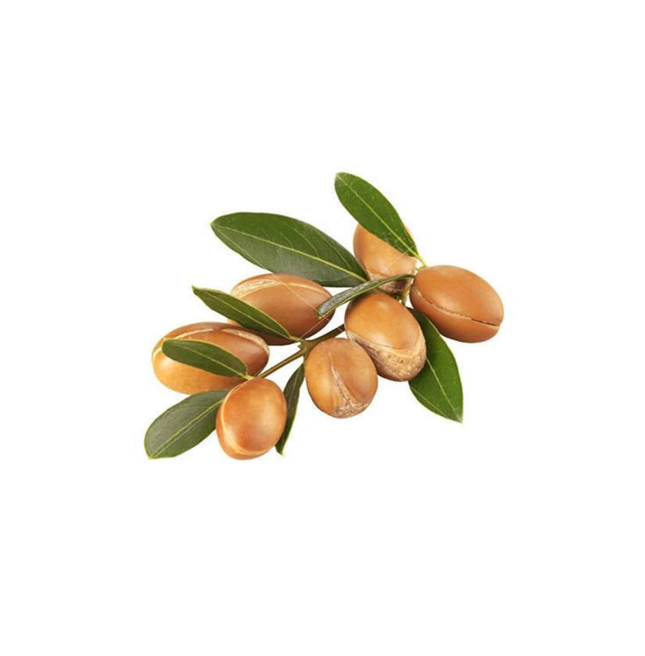Argan Oil Organic