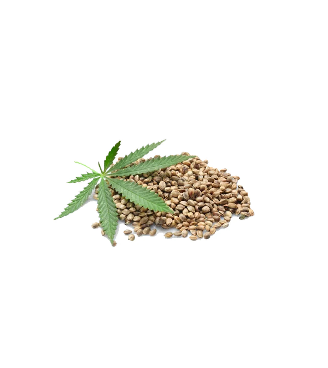 Hemp Seed Oil